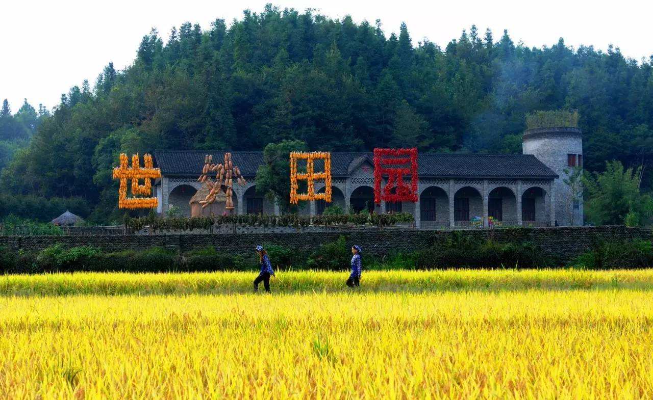 世外田園