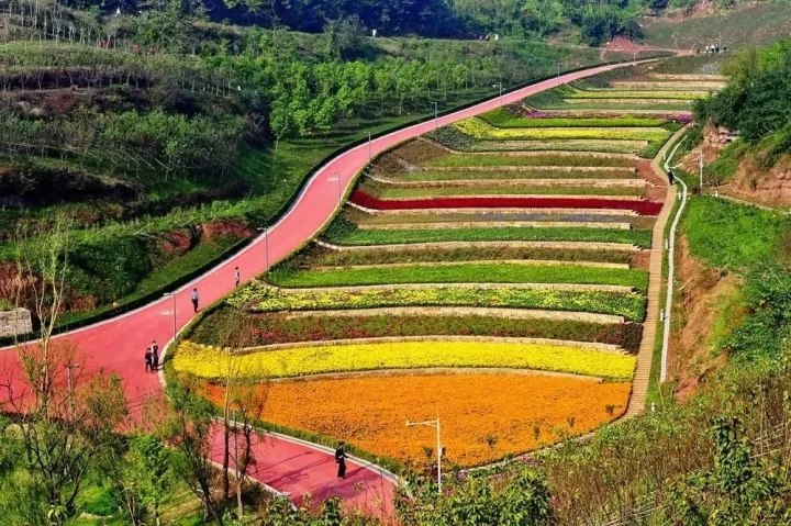 農(nóng)家樂